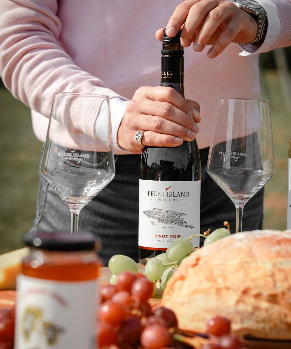 Pinot Noir in the Picnic Table with Bread and Grapes
