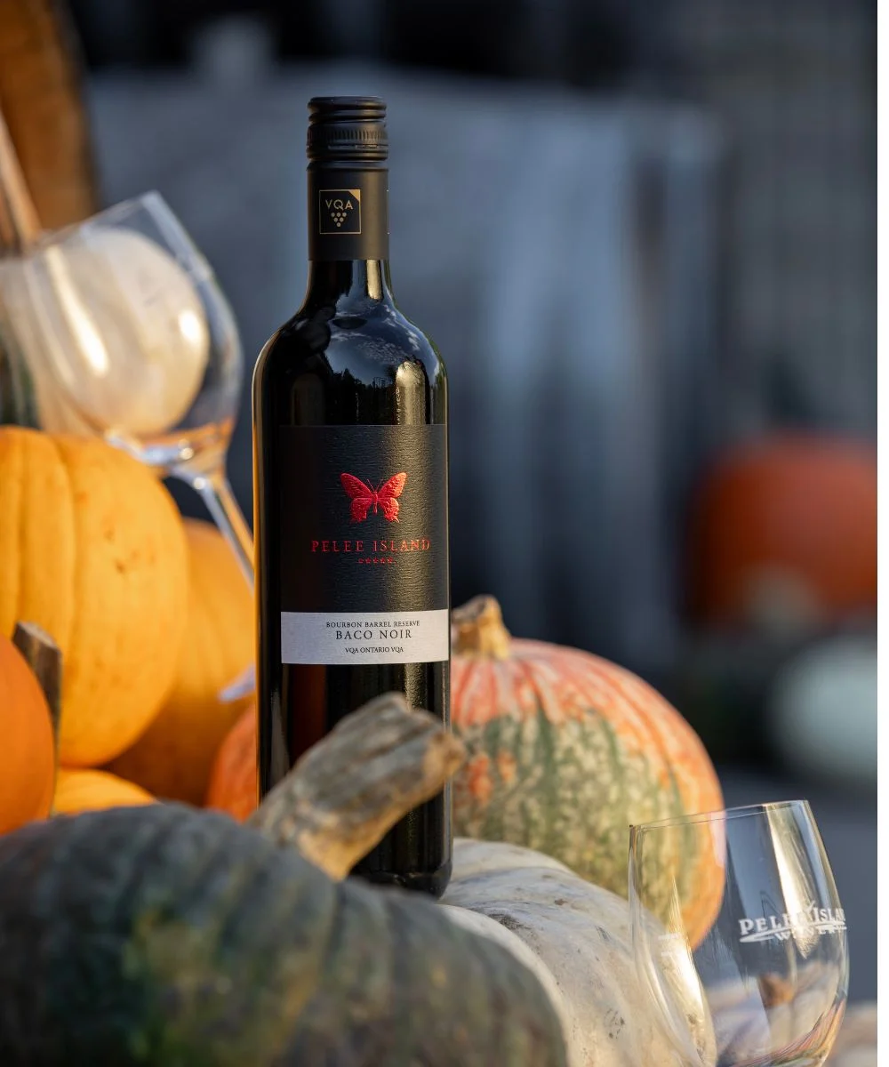 Pelee Island Bourbon Barrel Reserve Baco Noir sitting with bunch of squash
