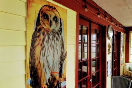 Owl art by local artists create an island time vibe on the wrap around porch of The Wandering Dog Inn. 