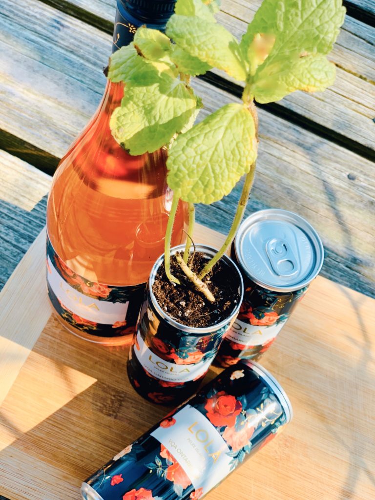 Pelee Island Winery LOLA Sparkling Blush Rosé in a bottle and cans with mint planted in upcycled can. 