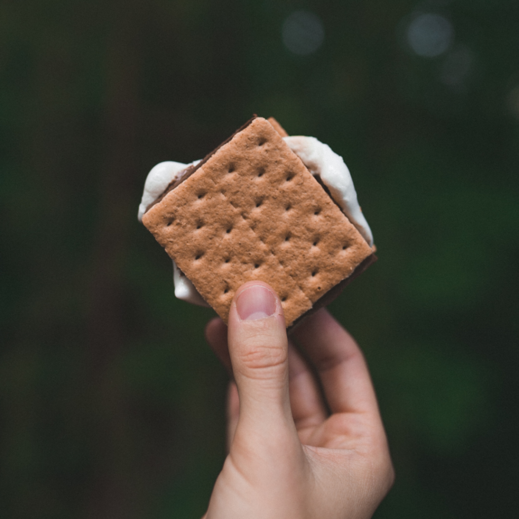 Classic graham cracker marshmallow chocolate s'more.