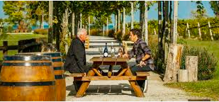 Focus on the good with Still Standing CBC - Jonny Harris on Pelee Island