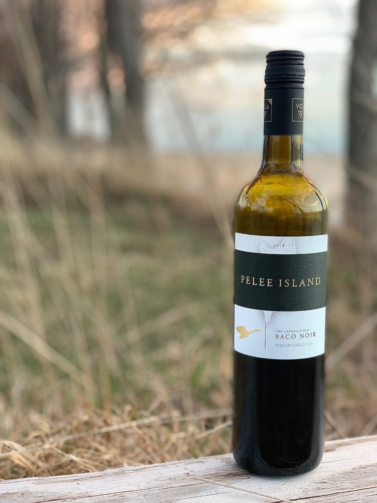 All About Baco Noir VQA Ontario red wine from Pelee Island Winery 