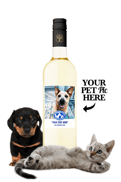Featured Image for Personalized "Pet Pic" Wine Labels - Pinot Grigio VQA