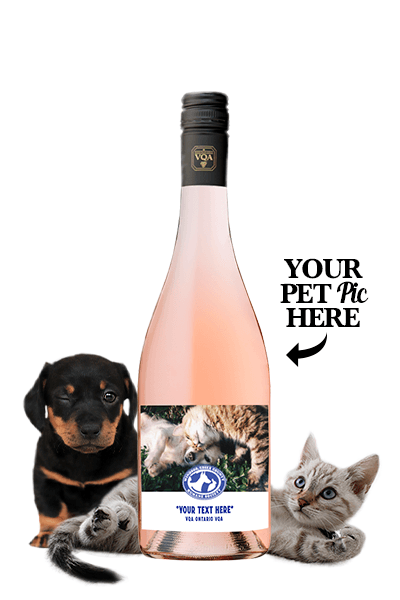 Featured Image for Personalized "Pet Pic" Wine Labels  - Blush Sparkling Rosé VQA