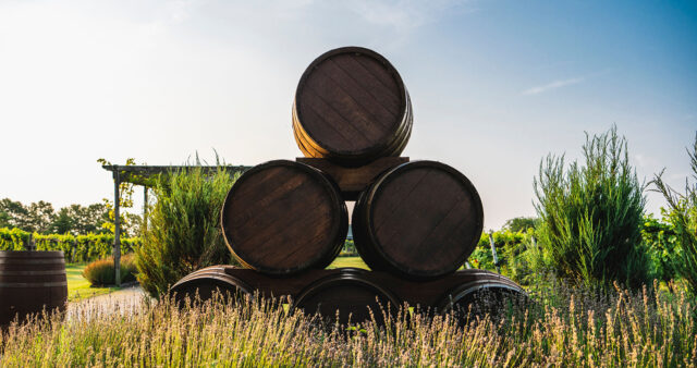 Pelee Island Barrells in the Pelee Island