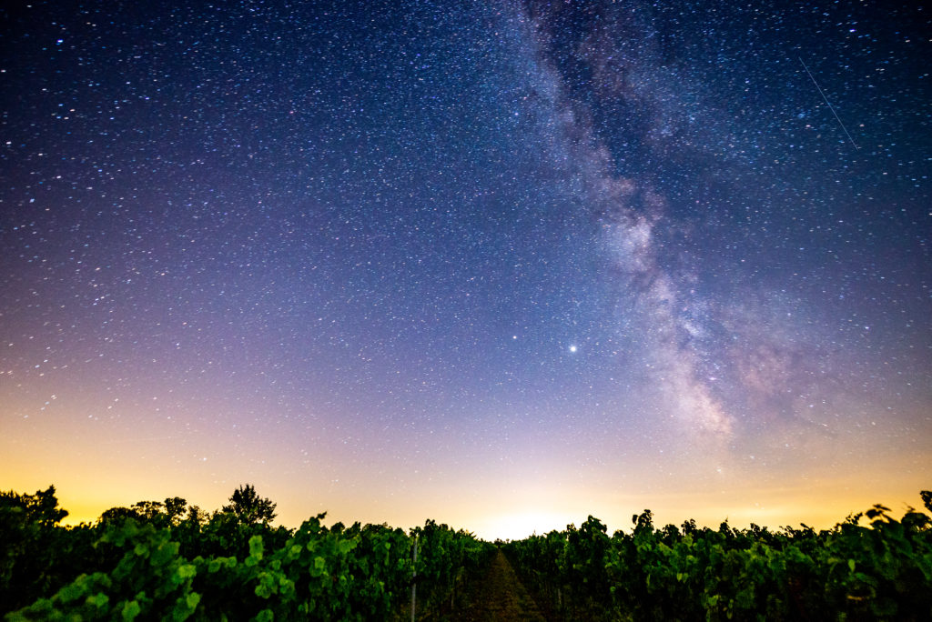 Starry night over Pelee Island Winery Vineyard by Ian Virtue