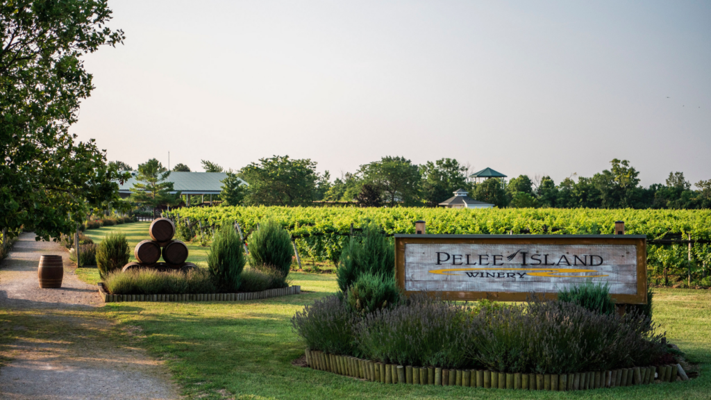 Pelee Island Visitor Information 2022 Pelee Island Winery
