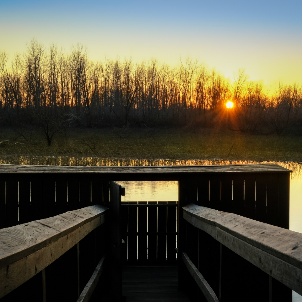 22 Pelee Island Nature Fun Facts - bird watching blind and platform
