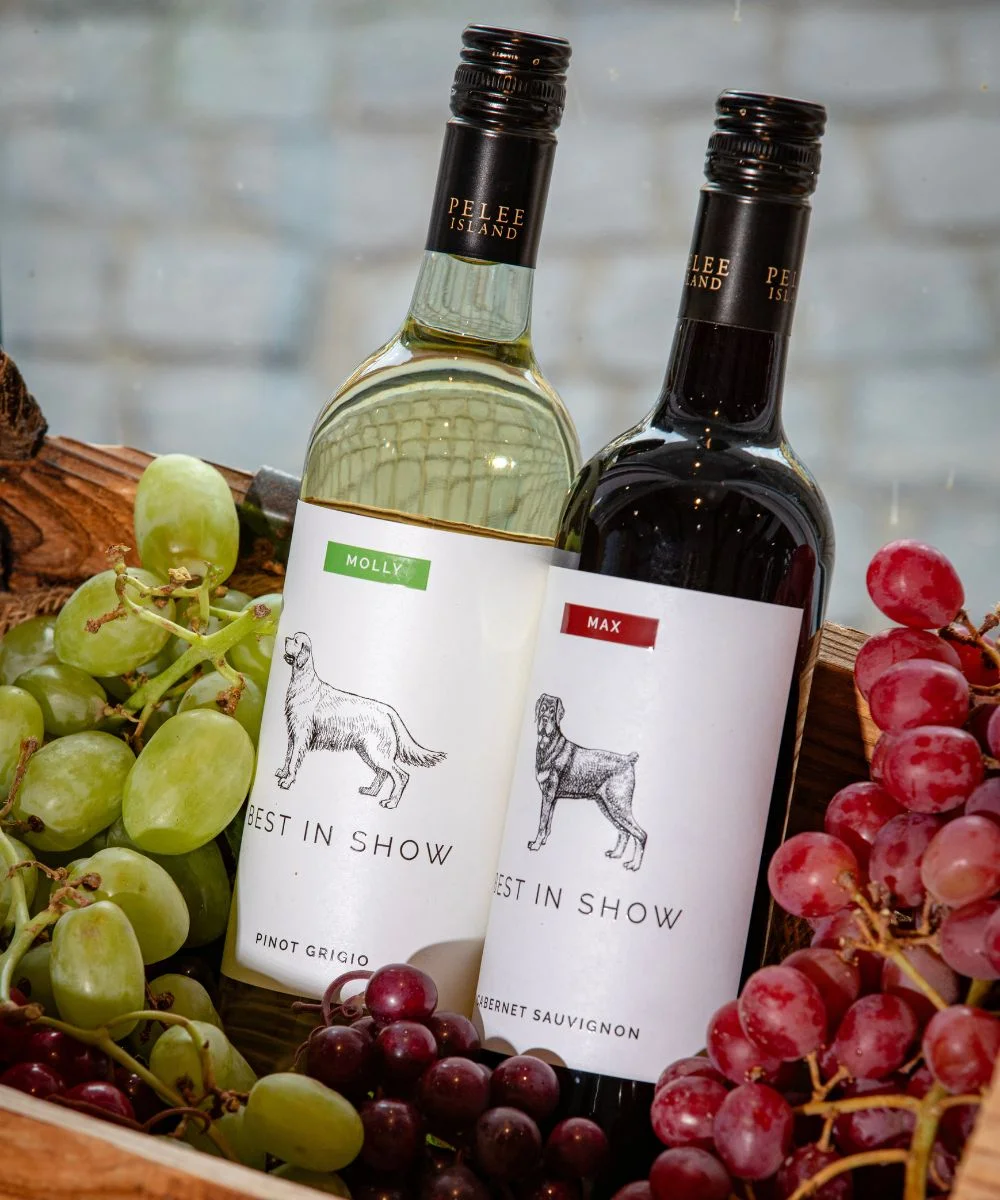 Best in Show wines the Pinot Grigio and Cabernet Sauvignon sitting of Grapes