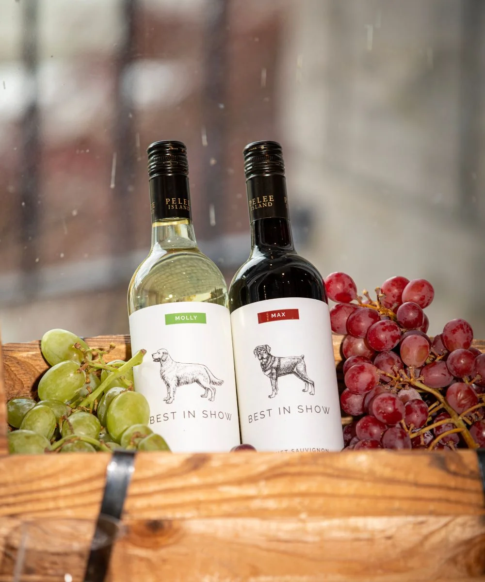 Best in Show wines the Pinot Grigio and Cabernet Sauvignon sitting of bunch of red and Green Grapes