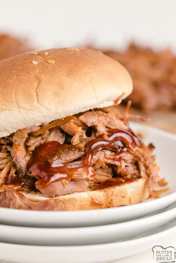 A pulled pork sandwich on top of a plate.