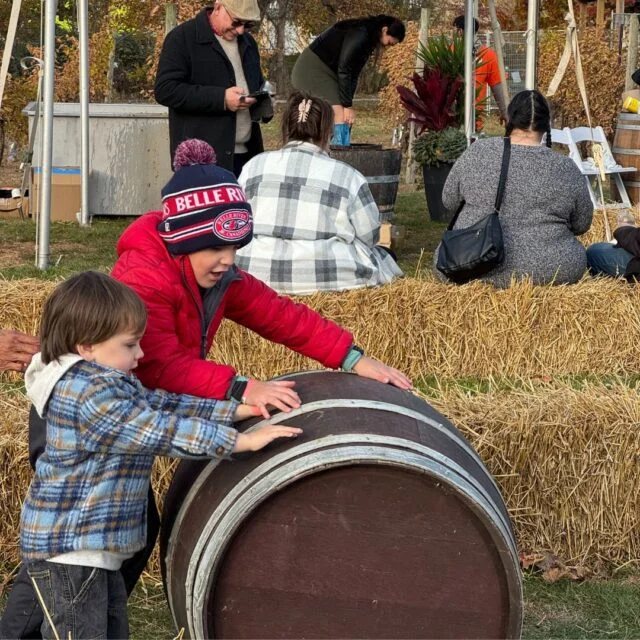 Barrel Rolling Competition in Harvest Fest in Pelee Island Winery