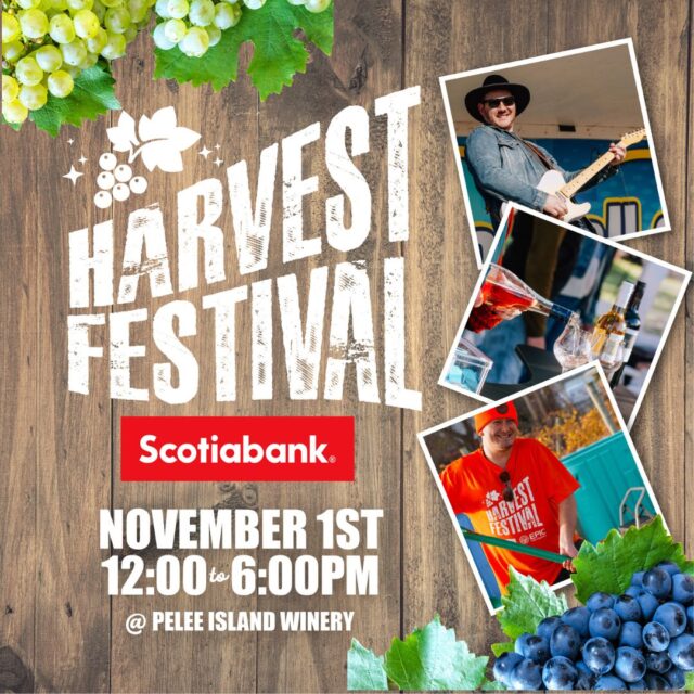Harvest Festival 2025 Presented by Scotiabank